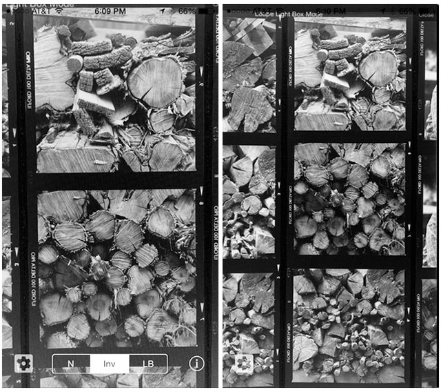Easily Inspect and Organize Your Negatives with Light Box