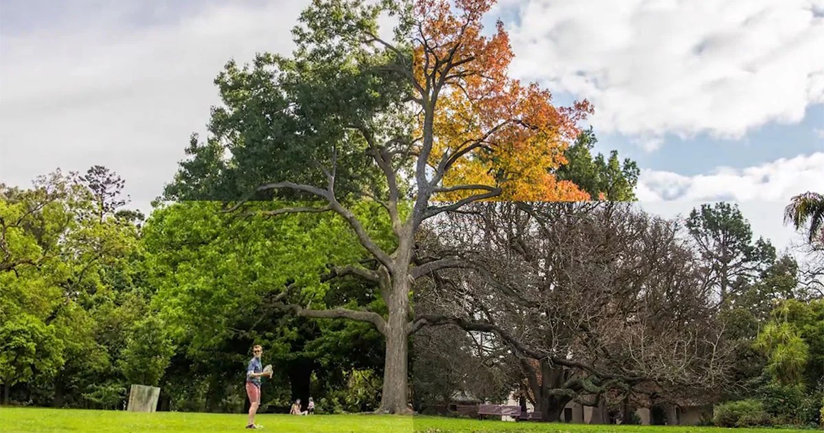 Photographer Shows the 4 Seasons of Melbourne in a Single Frame PetaPixel