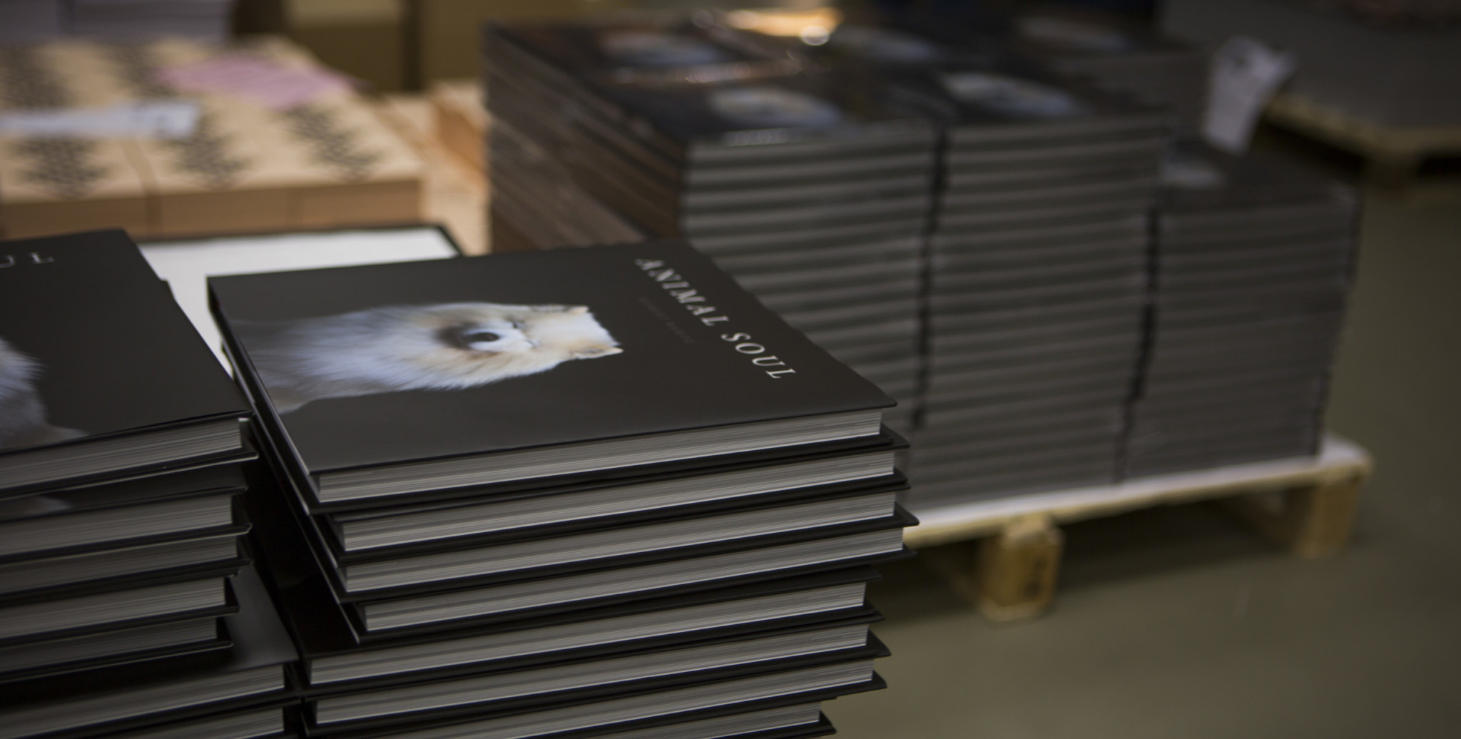 10 Tips for Self Publishing a Photo Book Through Kickstarter PetaPixel