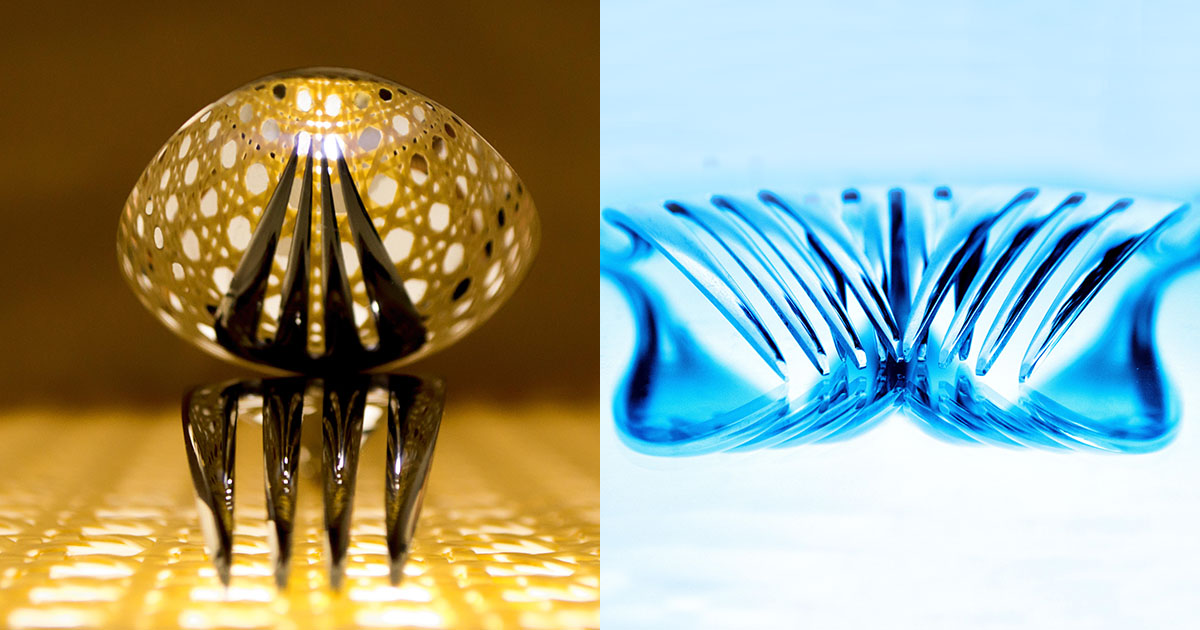 Creative Macro Photos of Kitchen Utensils