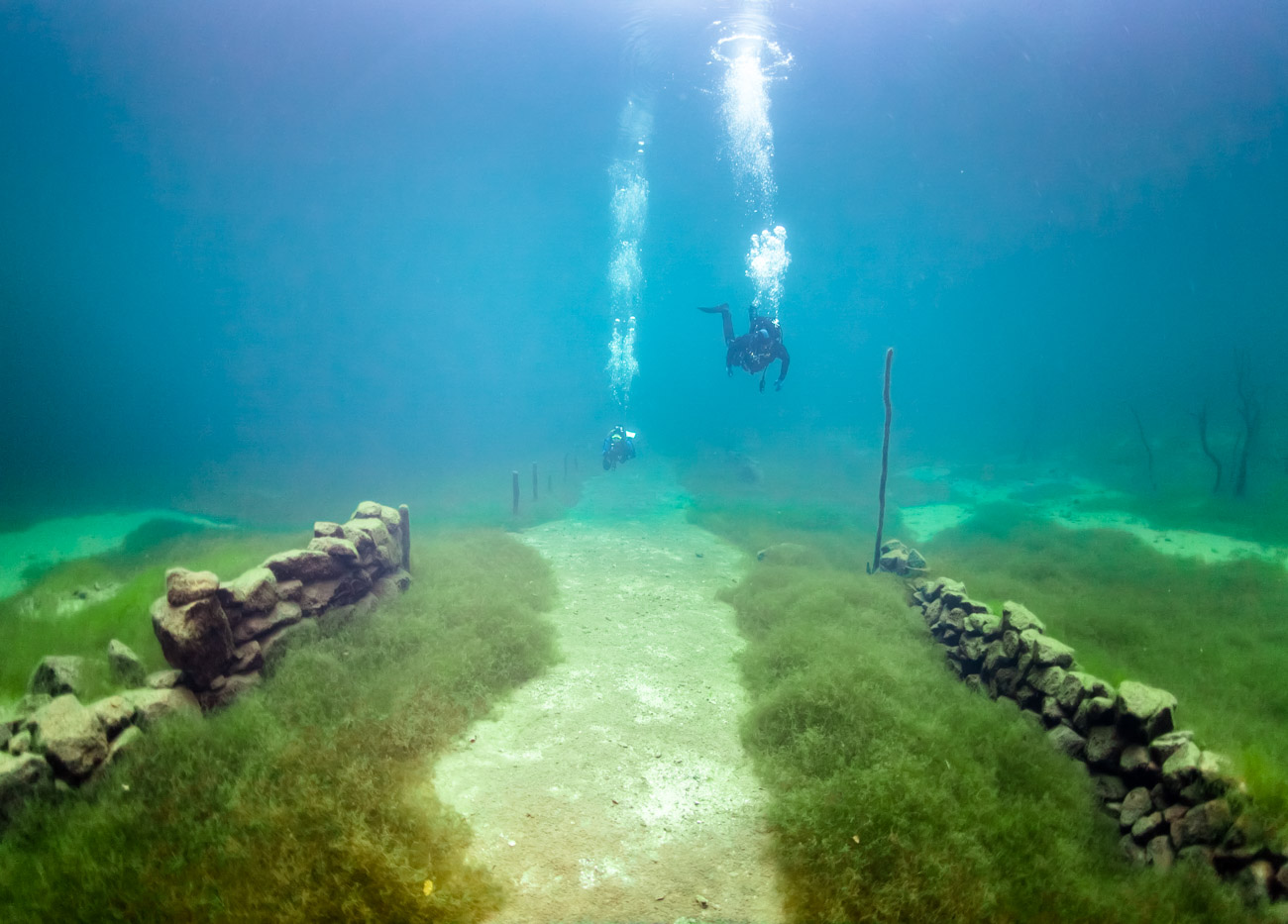 A Photographer Dives Into Norway's Underwater Atlantis PetaPixel