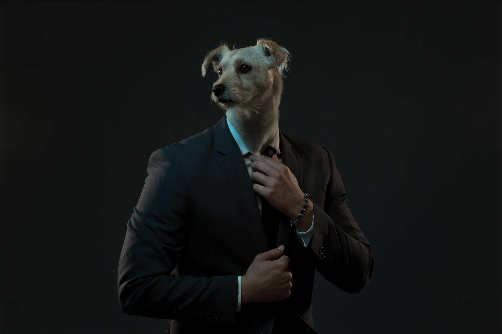 Portraits of Dogs with Human Bodies PetaPixel
