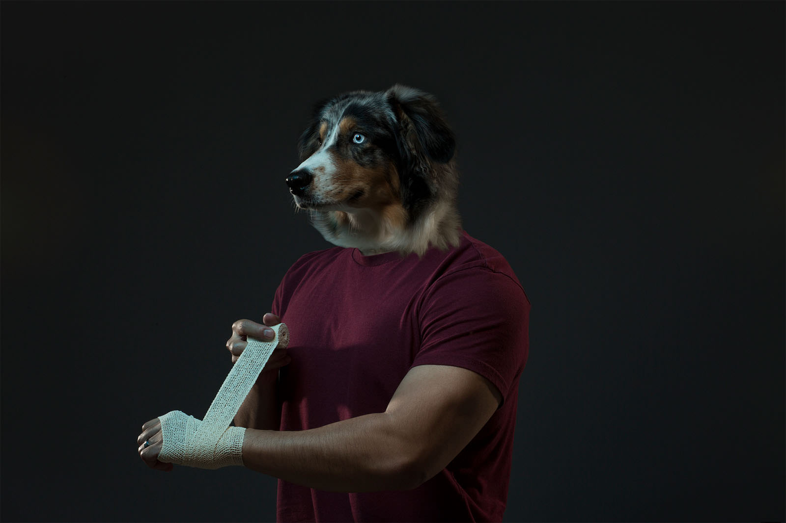 Portraits of Dogs with Human Bodies PetaPixel