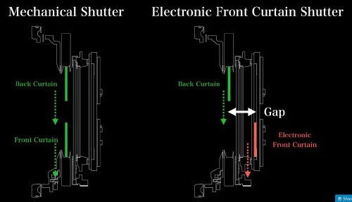 Picture 20 of Electronic Front Curtain Shutter | bjornphaotography