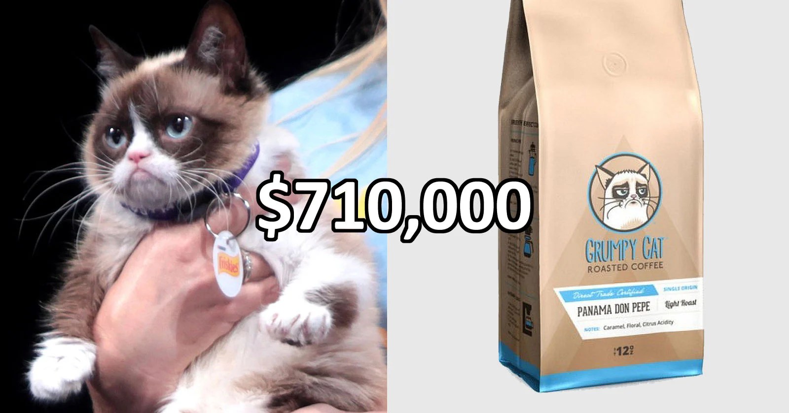 Grumpy Cat Wins 710,000 in Copyright Infringement Lawsuit PetaPixel