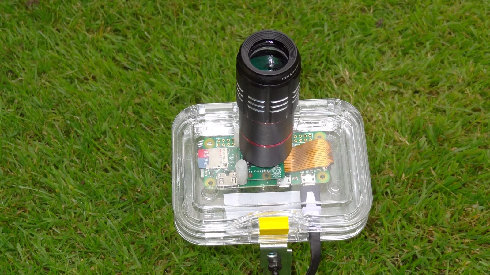 This MotionDetecting Wildlife Camera Was Made with Raspberry Pi