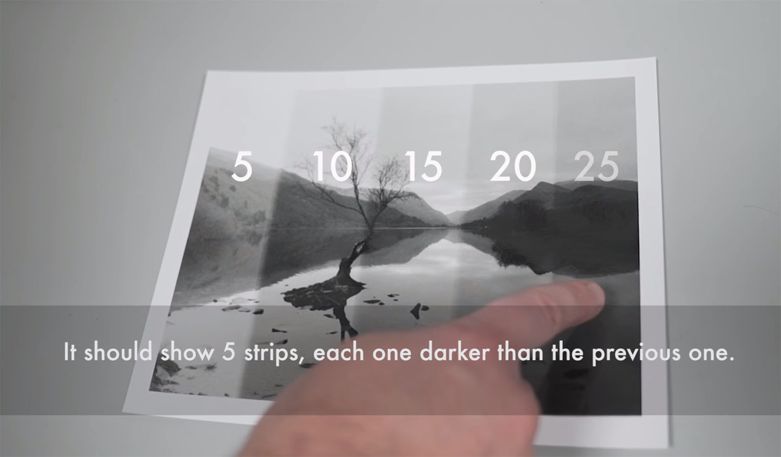How to Make a B&W Photo Print in the Darkroom A 7Minute Crash Course