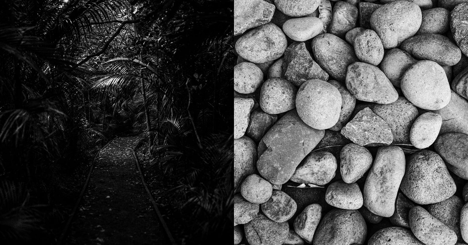 The Ways of Zen Photography PetaPixel