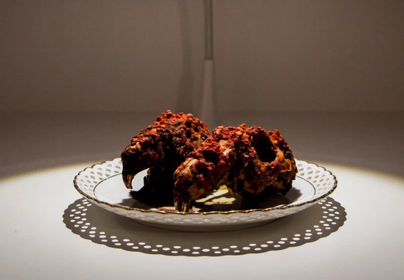 Photos of the Most Disgusting Foods in the World