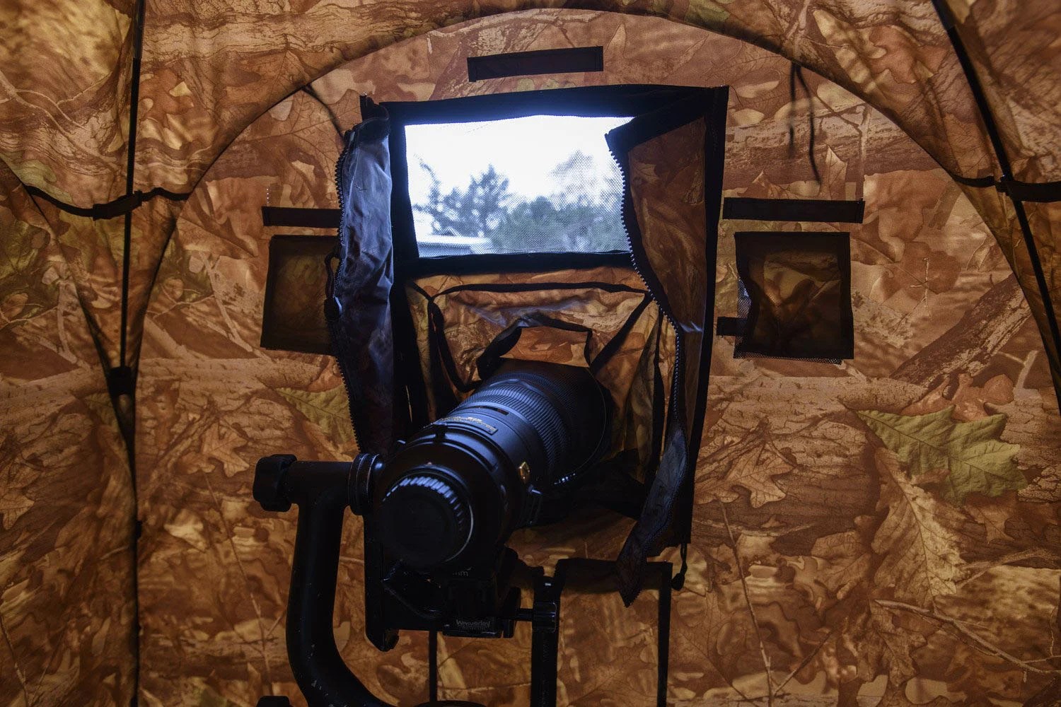 Tragopan Blinds Are Made Specifically for Wildlife Photographers