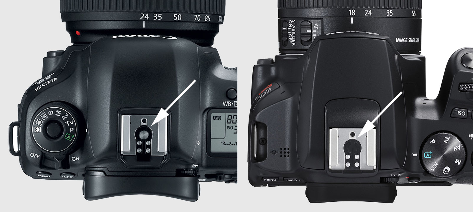 Canon Made Its New EntryLevel DSLRs with 3rdParty