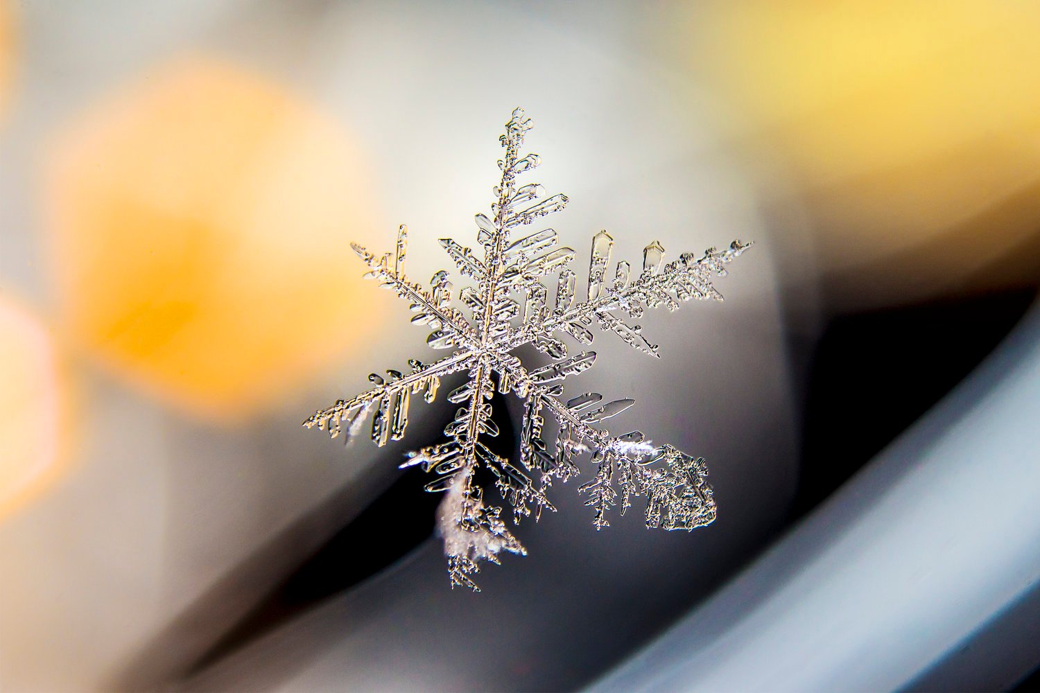 This Simple Conversion Turns Any Zoom Lens Into a Macro Lens