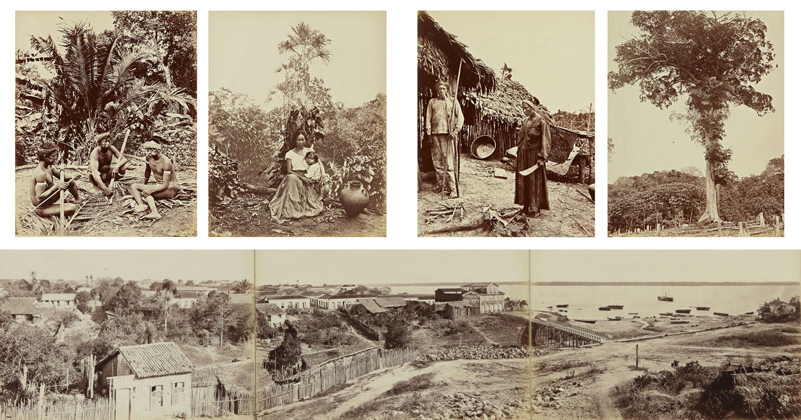 Flipboard These 150YearOld Photos of Brazil's Amazon Sold at Auction