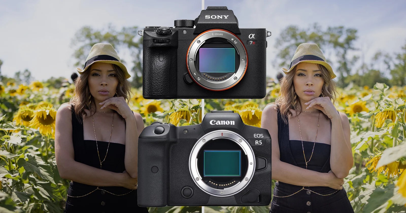 Canon EOS R5 vs Sony a7R III Dynamic Range Test Has Canon Caught Up