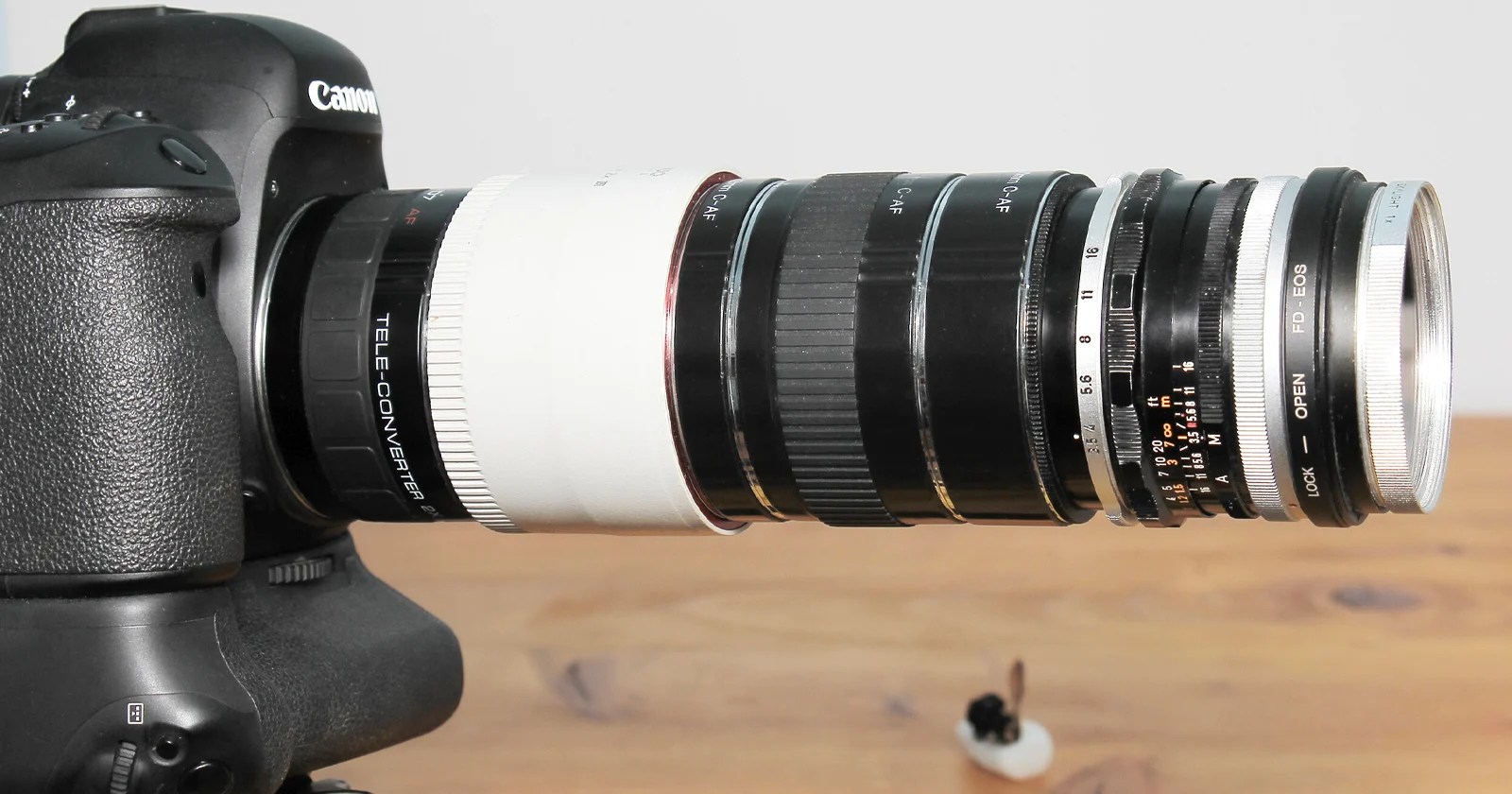 How to Use Teleconverters for Macro Photography PetaPixel