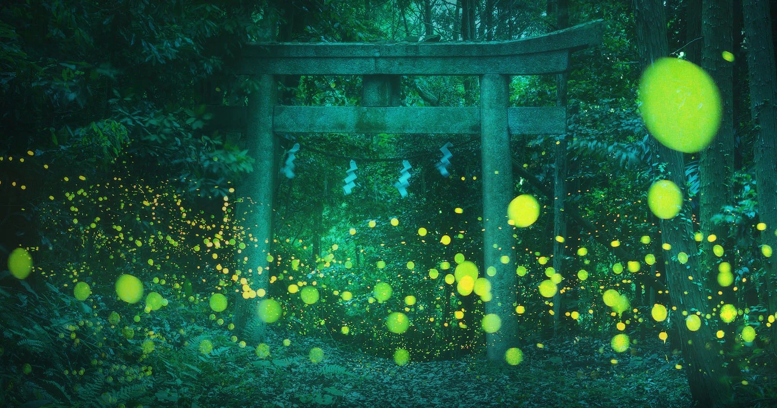 These Photos of Fireflies in Japan are Magical | PetaPixel