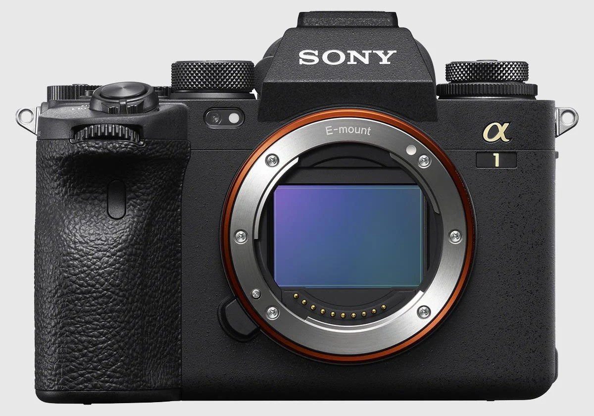 The Best Mirrorless Cameras in 2024 PetaPixel