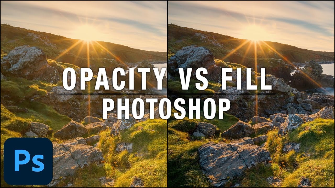 What is the Difference Between Opacity and Fill in PetaPixel