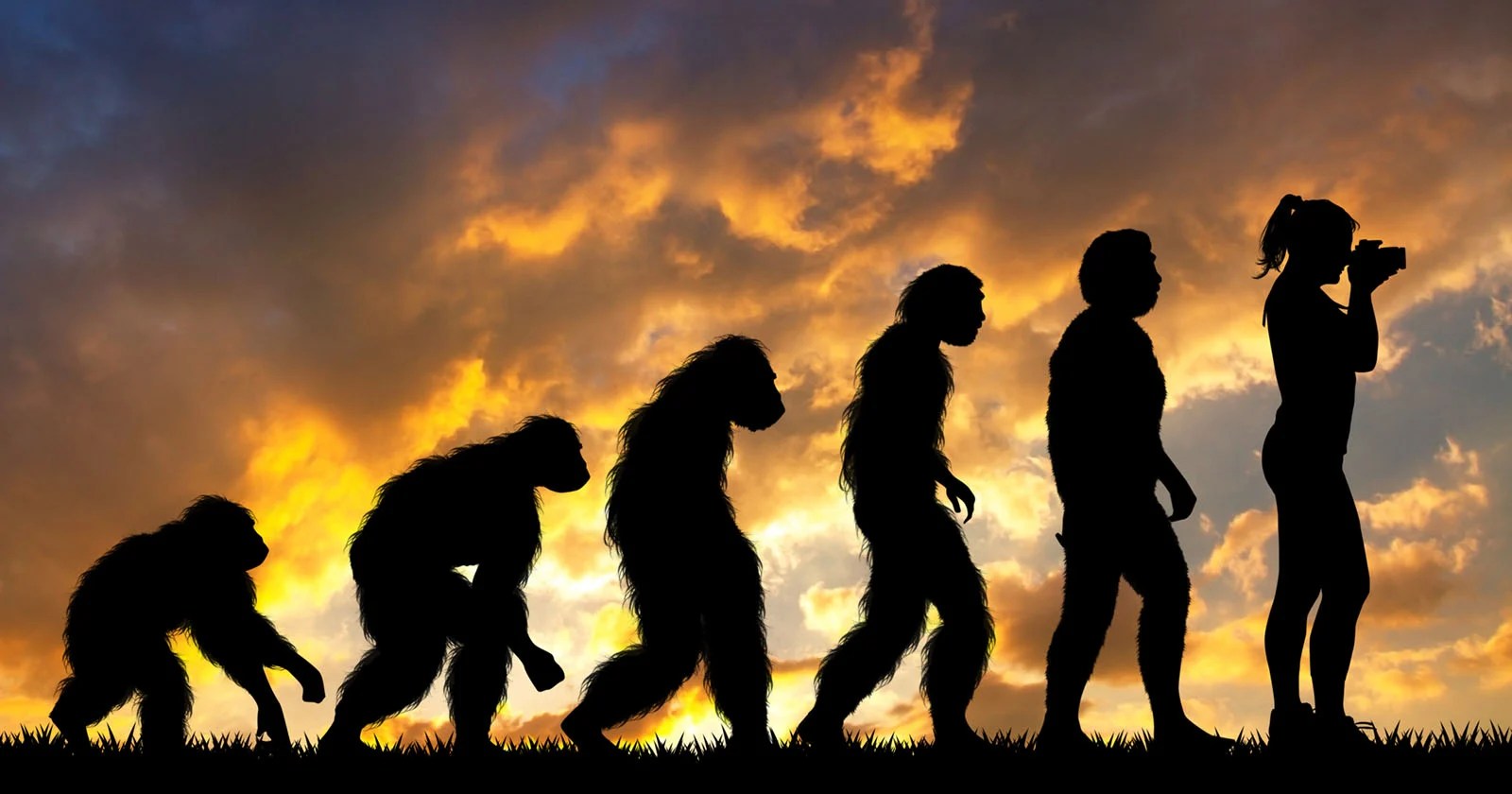 The Evolution of the Pro Photographer Through Phases and Crises PetaPixel