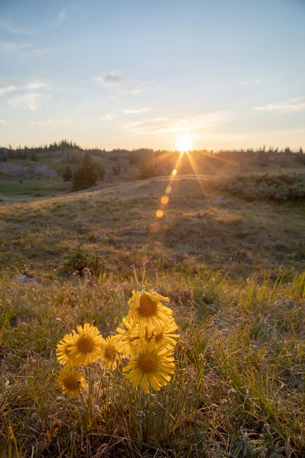 Golden Hour When Sunlight is Warm and Photos are Magical PetaPixel