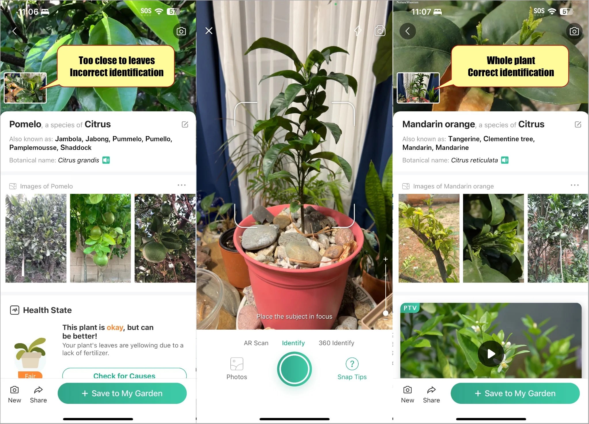 PictureThis Best Plant Identifier Camera App