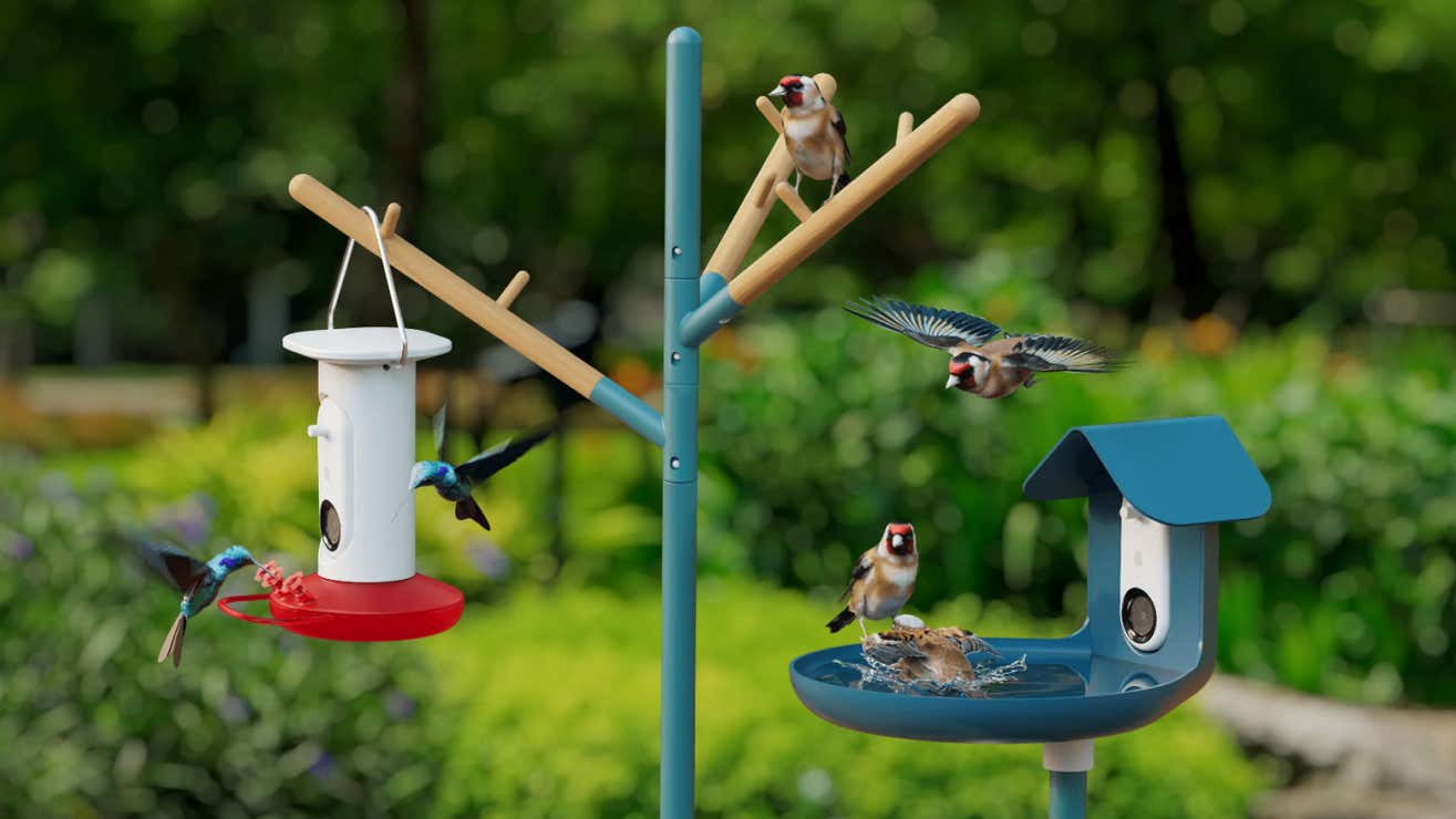 Bird Buddy's Latest Feeder Cam Uses AI to Capture CloseUp Bird Photos