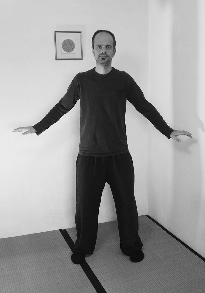 Yiquan 6 8 static postures PetarSmiljana Qigong