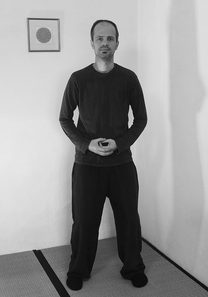 Yiquan 5 8 static postures PetarSmiljana Qigong