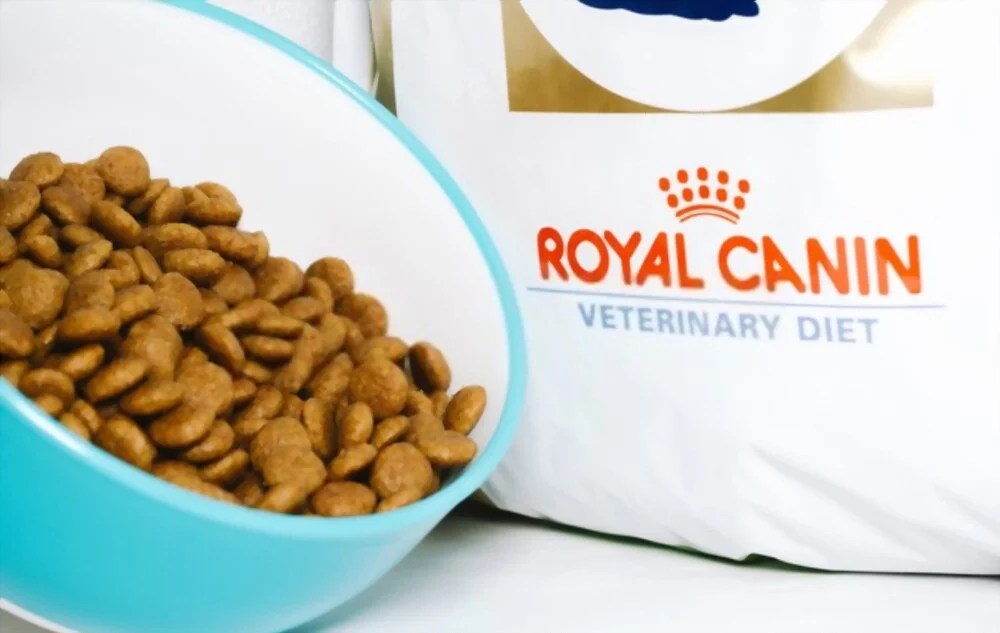 Pet Barn's favourite Pet Food Brands and why we them