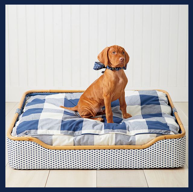 Guide When Buying Australia luxury dog beds Pet Beds Australia