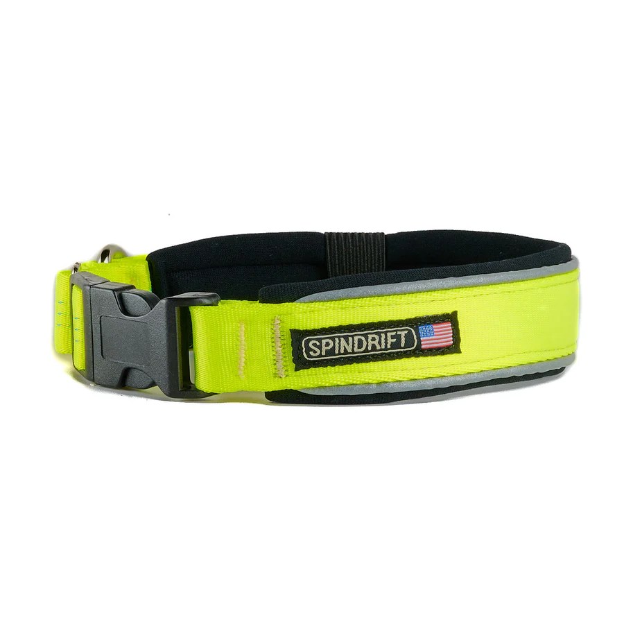 Pro Safety Collar Pet Behavior Products