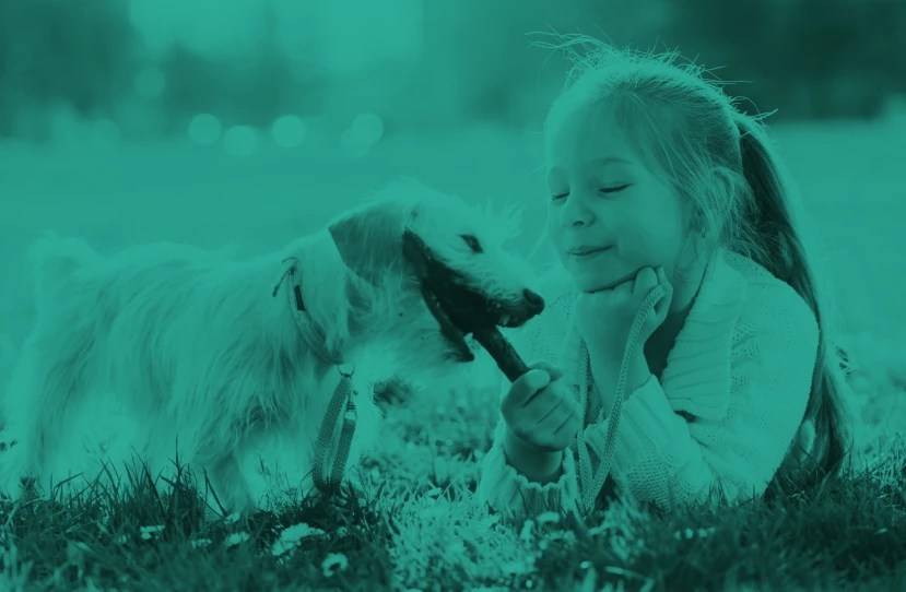 Pet Boarding Near Me 45255 Pet Boarding Cincinnati Cincinnati, OH