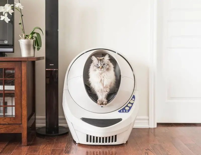 Litter Robot 2 Automatic Litter Box Review Pet