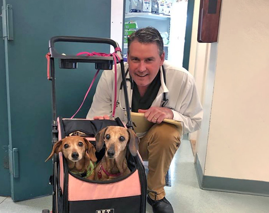 Vet Near Me Madison, WI 53717 Petcare Animal Hospital