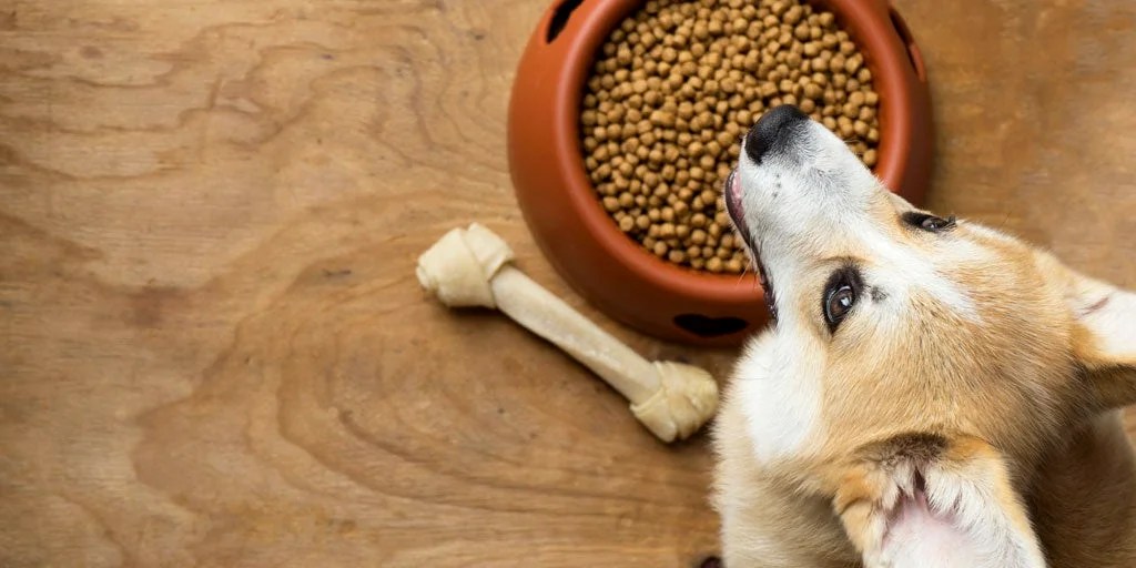Pet Food Banks Expand As Demand Rises Pet Care Bytes