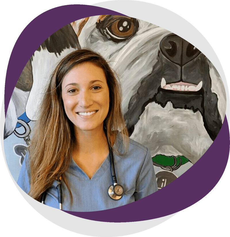 Contact Pet Care Animal Hospital