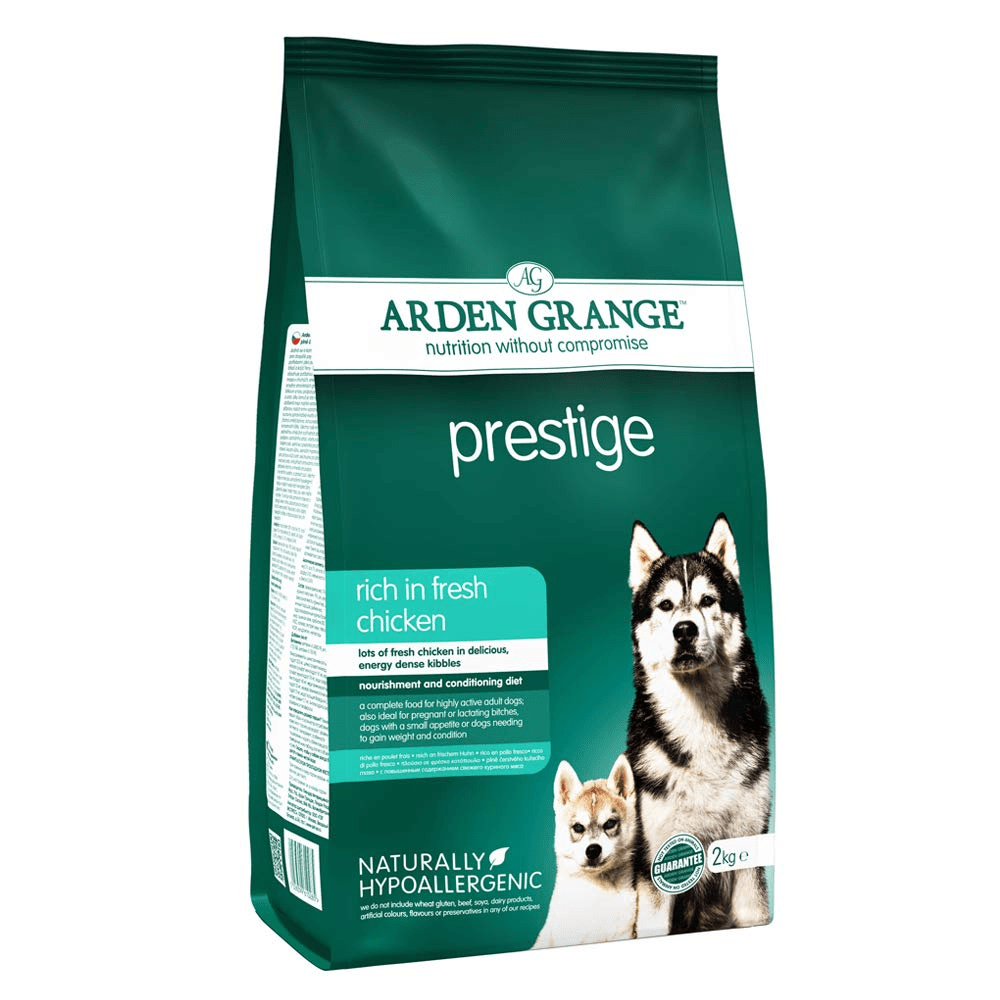 Top 5 Siberian Husky Dog Food In India Pet Care Tips