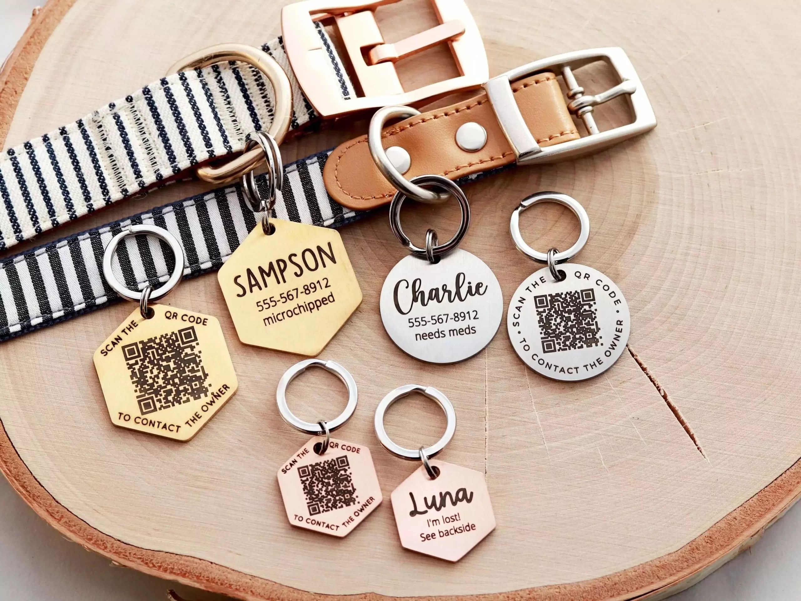 Dog Identification Tags Pet Caring Tips