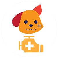 Veterinarian in Palmdale, CA | Pet Check Engine Animal Hospital