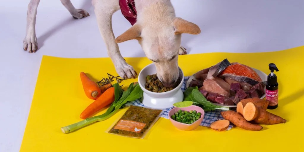 Petchef vs Cat Kibble Petchef Healthy pet food