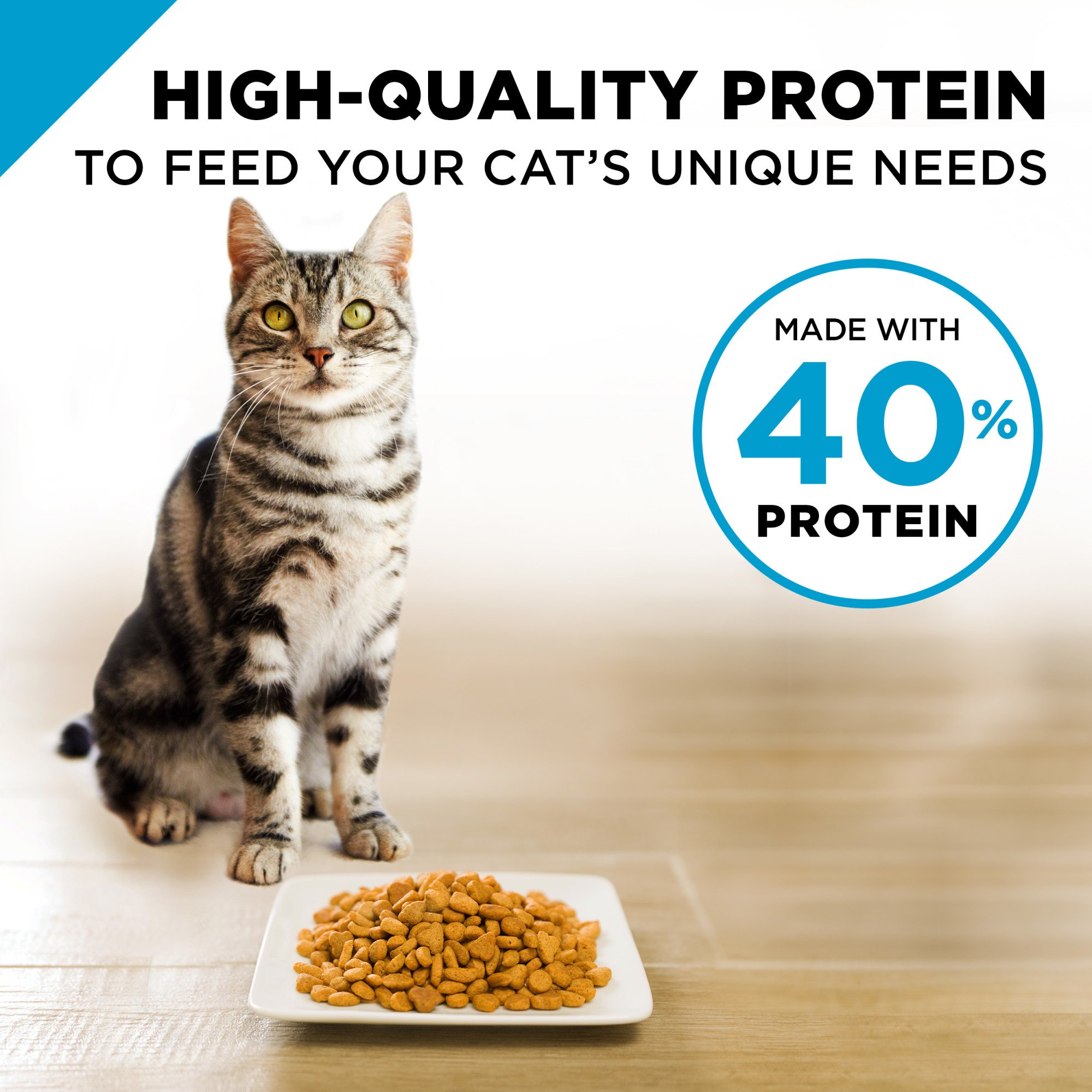 Purina Pro Plan Focus Indoor Care Salmon & Rice Formula Adult Dry Cat