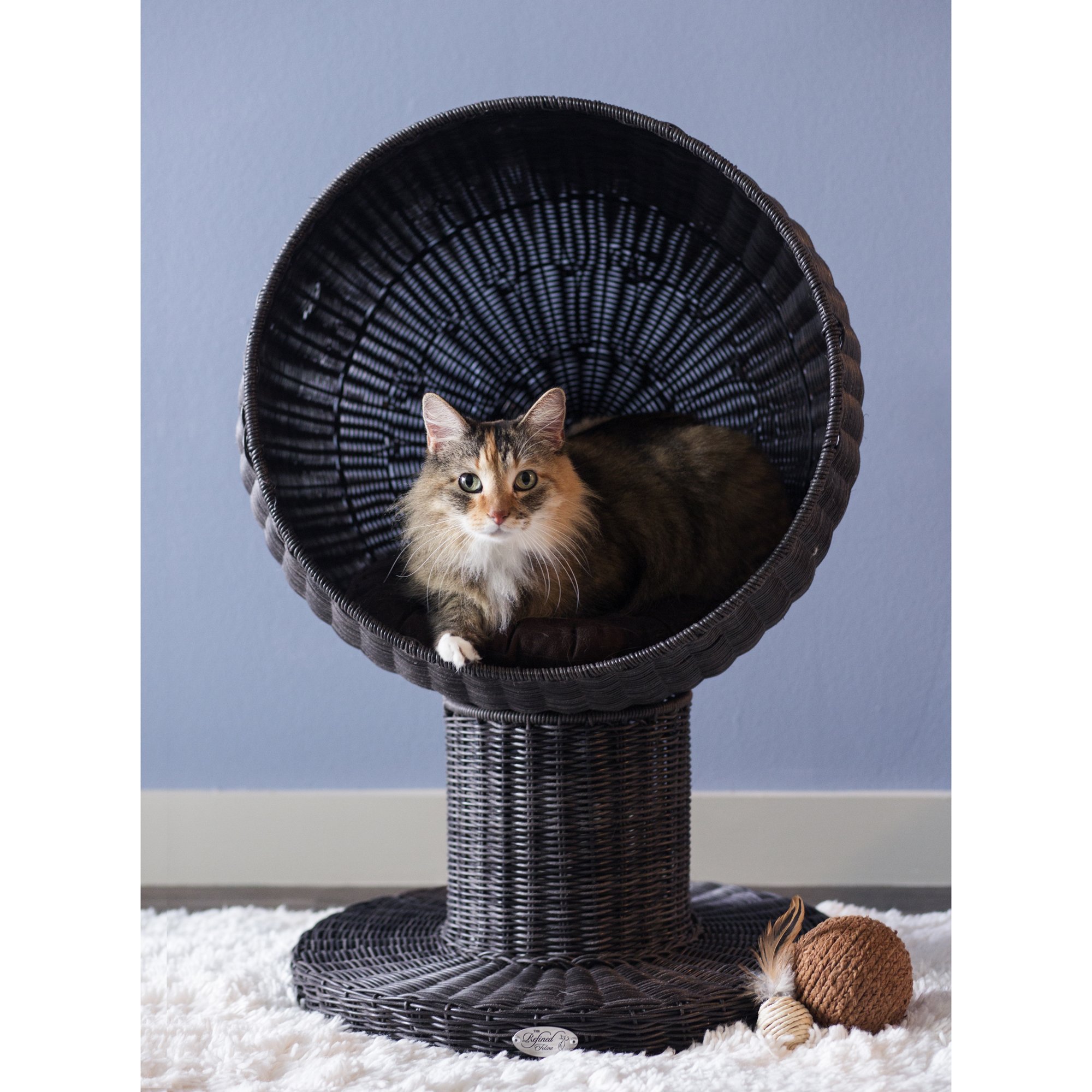 The Refined Feline Kitty Ball Bed in Espresso Petco