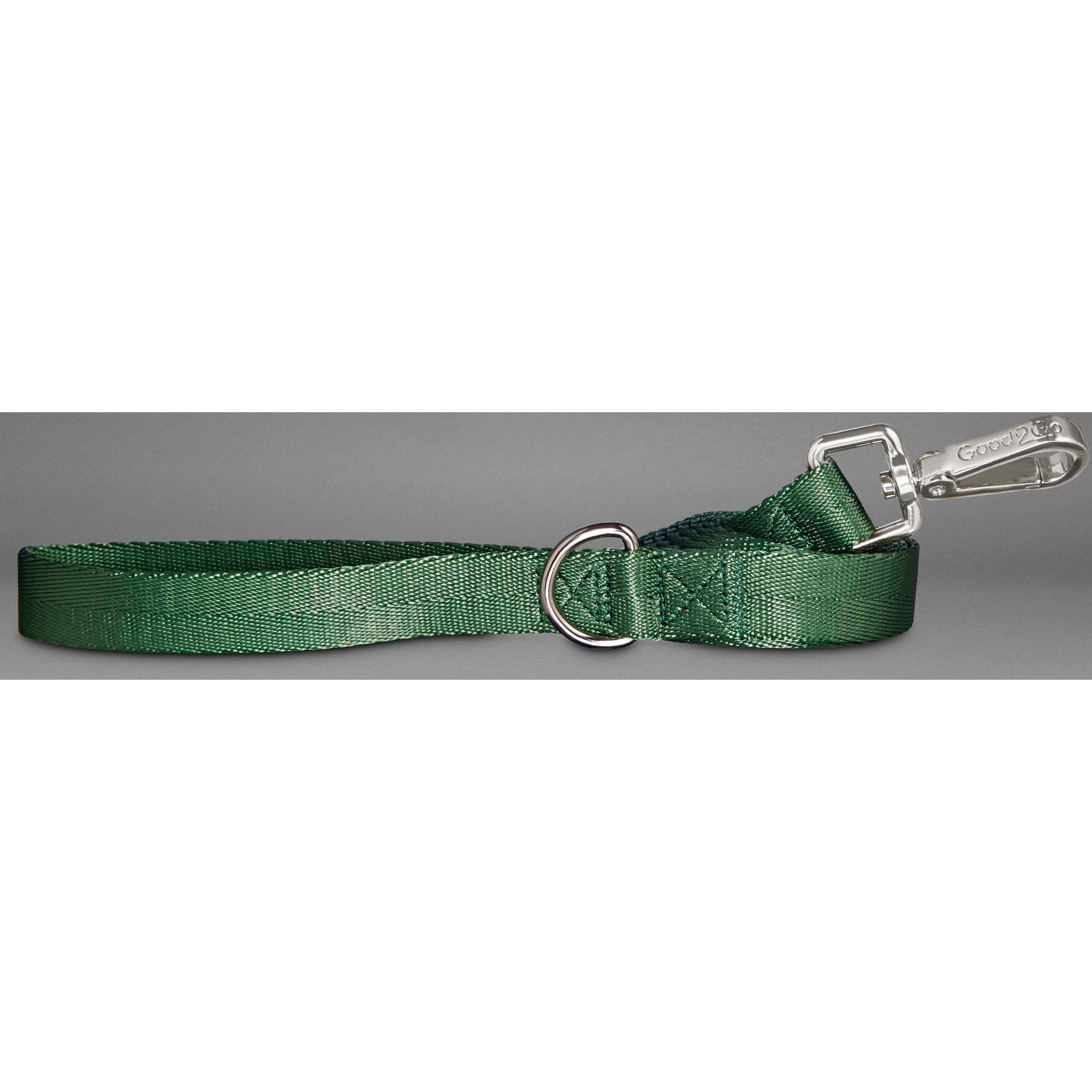 Good2Go Adjustable Dark Green Dog Leash Petco