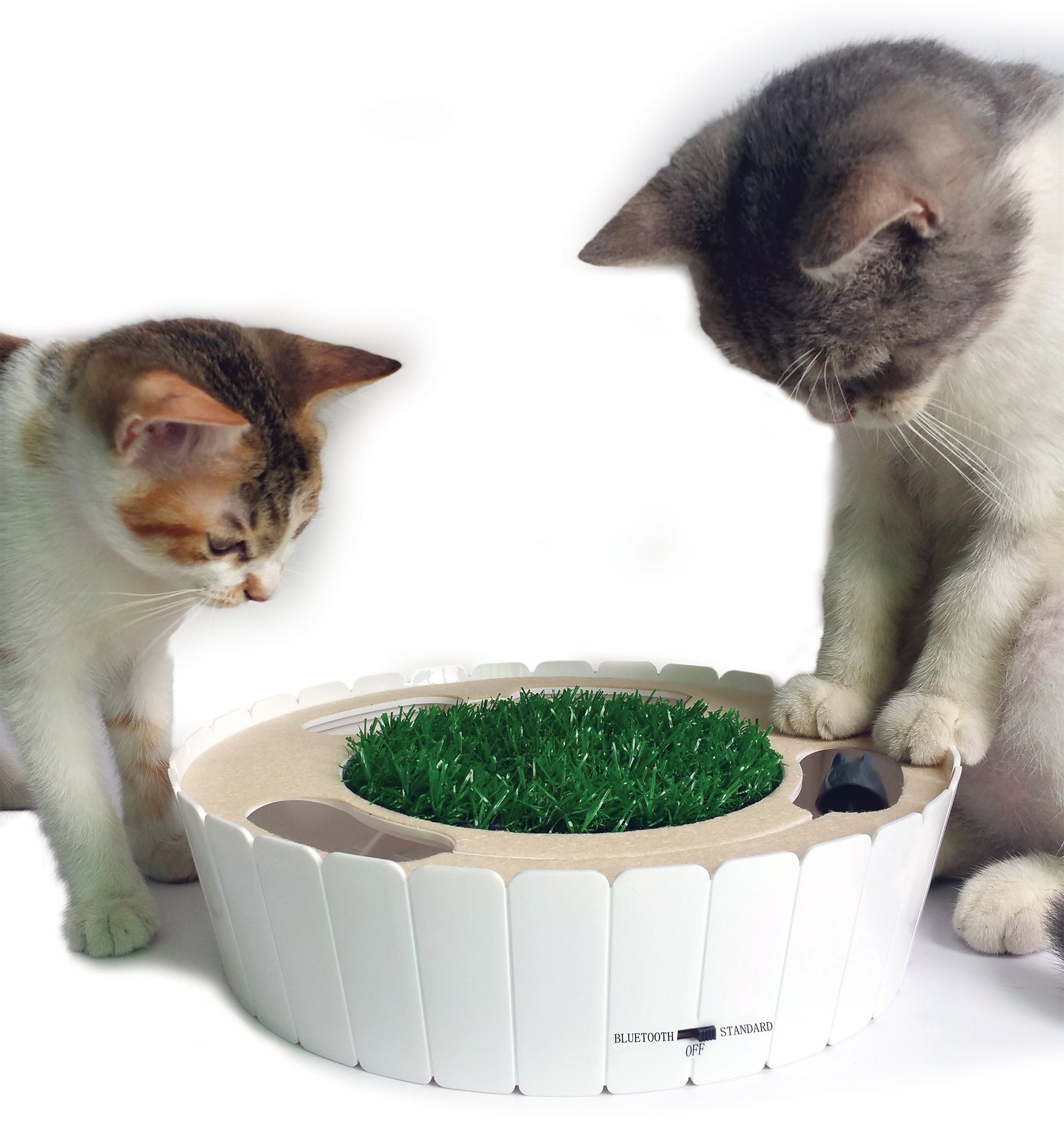 Innovation Pet Kitty Connection Lattice Ball Launcher Cat