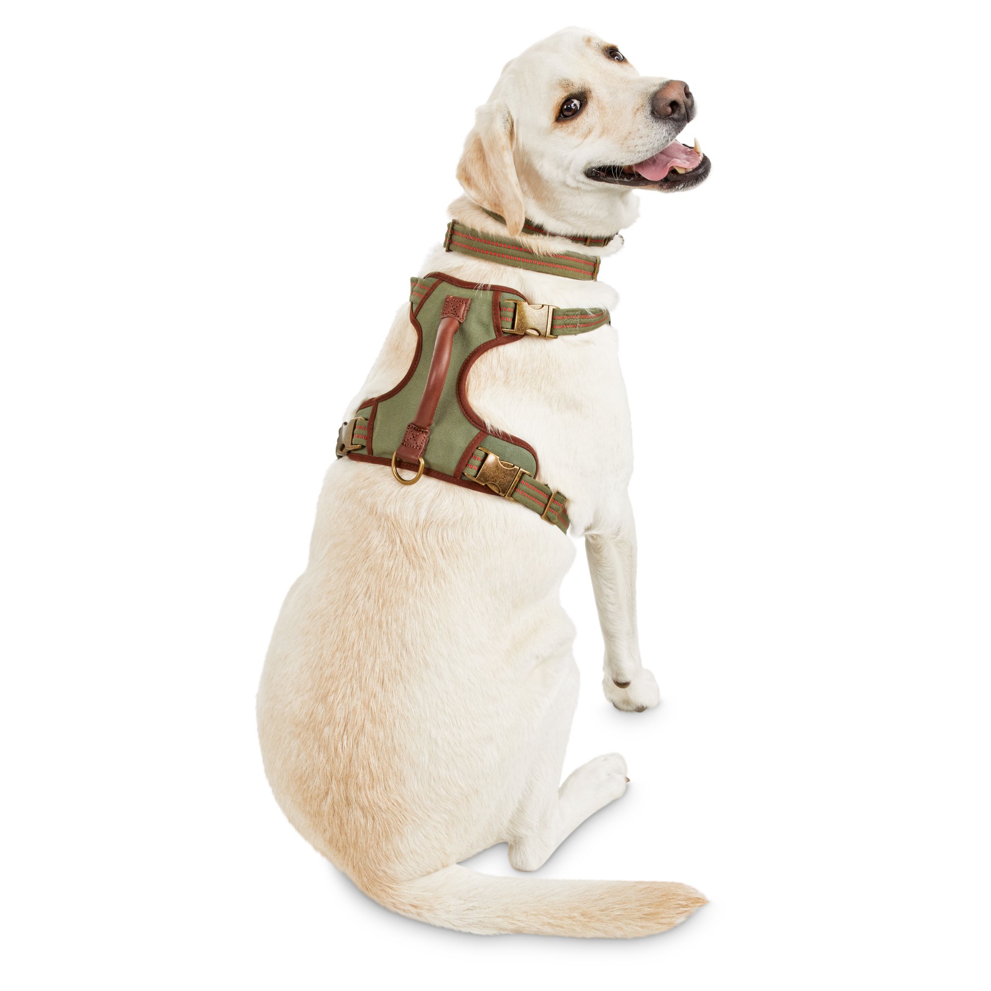 Reddy Green Dog Harness Xxl/xxxl 4568 for sale online eBay