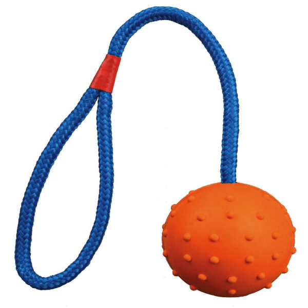 TPR Pet Durable Natural Rubber Ball on Rope Throw & Fetch Dog Toy Petco BD
