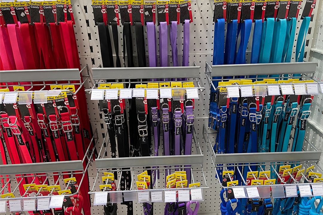 Dog Collars Lowest everyday shop price Petco Direct