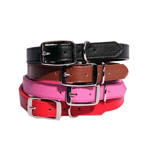 Leather Dog Collars Lowest everyday shop price Petco Direct