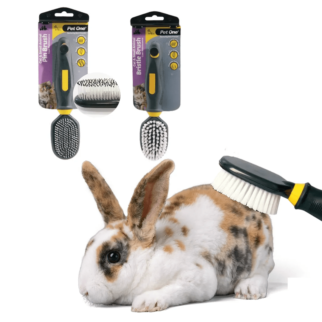 Rabbit Grooming Lowest everyday shop price Petco Direct