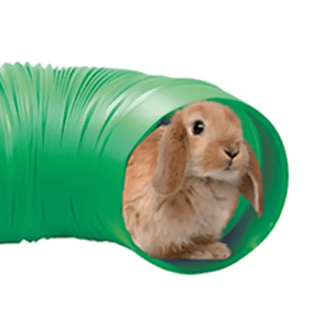 Rabbit Health Care Lowest everyday shop price Petco Direct